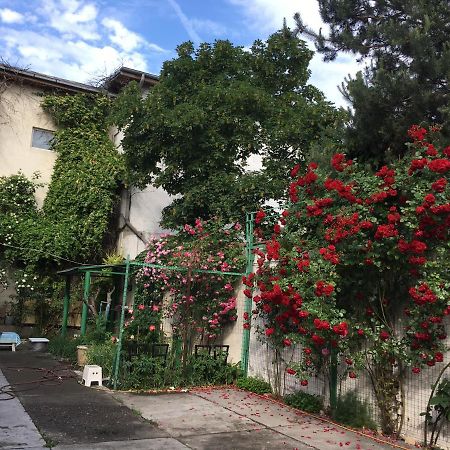 Vila 2 Bukarest Kültér fotó