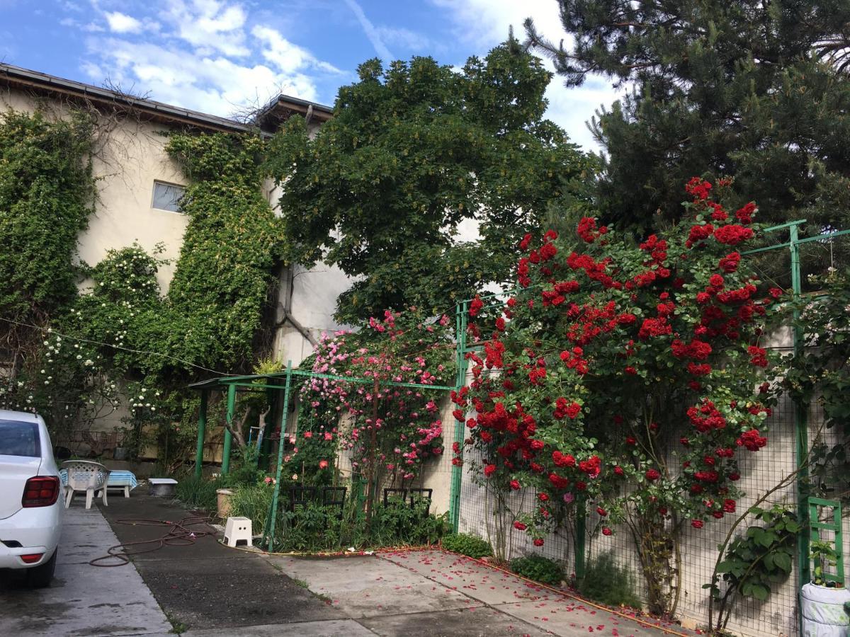 Vila 2 Bukarest Kültér fotó