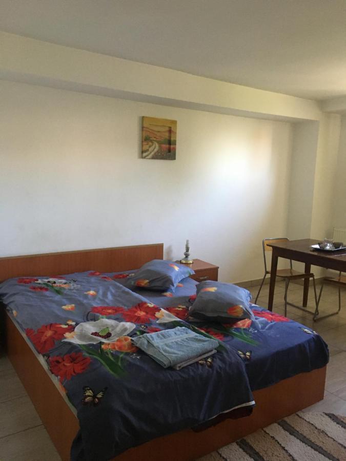 Vila 2 Bukarest Kültér fotó
